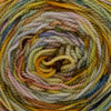 Michigan Fine Yarns Koigu Color Blast Cake -Sunny Day 200g 23661610 | Yarn at Michigan Fine Yarns