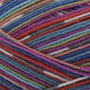 Adriafil Adriafil Calzasocks | Yarn at Michigan Fine Yarns