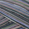 Adriafil Adriafil Calzasocks | Yarn at Michigan Fine Yarns