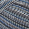 Adriafil Adriafil Calzasocks | Yarn at Michigan Fine Yarns