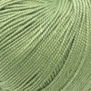Plymouth Yarns Cuzco Cashmere -843273048962 | Yarn at Michigan Fine Yarns