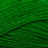 Plymouth Yarns Encore -843273001394 | Yarn at Michigan Fine Yarns
