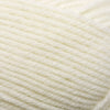 Plymouth Yarns Encore -843273001448 | Yarn at Michigan Fine Yarns