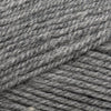 Plymouth Yarns Encore -843273001493 | Yarn at Michigan Fine Yarns