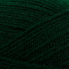 Plymouth Yarns Encore -843273001509 | Yarn at Michigan Fine Yarns