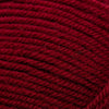 Plymouth Yarns Encore -843273001523 | Yarn at Michigan Fine Yarns