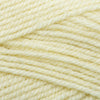 Plymouth Yarns Encore -843273001554 | Yarn at Michigan Fine Yarns