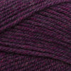 Plymouth Yarns Encore -843273001608 | Yarn at Michigan Fine Yarns