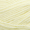 Plymouth Yarns Encore -843273001608 | Yarn at Michigan Fine Yarns