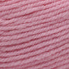 Plymouth Yarns Encore -843273001653 | Yarn at Michigan Fine Yarns