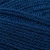 Plymouth Yarns Encore -843273001691 | Yarn at Michigan Fine Yarns