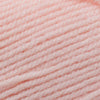 Plymouth Yarns Encore -843273001738 | Yarn at Michigan Fine Yarns