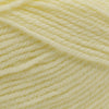 Plymouth Yarns Encore -843273001837 | Yarn at Michigan Fine Yarns
