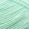 Plymouth Yarns Encore -843273001882 | Yarn at Michigan Fine Yarns