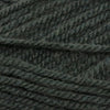 Plymouth Yarns Encore -843273001943 | Yarn at Michigan Fine Yarns