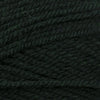Plymouth Yarns Encore -843273001950 | Yarn at Michigan Fine Yarns