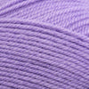 Plymouth Yarns Encore -843273001974 | Yarn at Michigan Fine Yarns