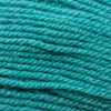 Plymouth Yarns Encore -843273002001 | Yarn at Michigan Fine Yarns