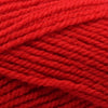 Plymouth Yarns Encore -843273002025 | Yarn at Michigan Fine Yarns