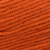 Plymouth Yarns Encore -843273002025 | Yarn at Michigan Fine Yarns