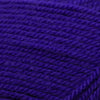 Plymouth Yarns Encore -843273002032 | Yarn at Michigan Fine Yarns