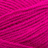 Plymouth Yarns Encore -843273002049 | Yarn at Michigan Fine Yarns