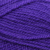 Plymouth Yarns Encore -843273002100 | Yarn at Michigan Fine Yarns