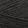 Plymouth Yarns Encore -843273002162 | Yarn at Michigan Fine Yarns