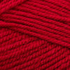 Plymouth Yarns Encore -843273002247 | Yarn at Michigan Fine Yarns
