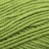 Plymouth Yarns Encore -843273002322 | Yarn at Michigan Fine Yarns