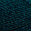 Plymouth Yarns Encore -843273046142 | Yarn at Michigan Fine Yarns