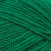 Plymouth Yarns Encore -843273051290 | Yarn at Michigan Fine Yarns