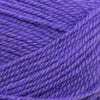 Plymouth Yarns Encore -843273051313 | Yarn at Michigan Fine Yarns