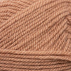 Plymouth Yarns Encore -843273053539 | Yarn at Michigan Fine Yarns