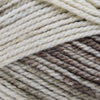 Plymouth Yarns Encore Chunky Colorspun -7801 | Yarn at Michigan Fine Yarns