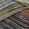 Plymouth Yarns Encore Chunky Colorspun -7803 | Yarn at Michigan Fine Yarns