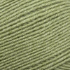 Sirdar Hayfield Soft Twist -256 - Fern 5024723212569 | Yarn at Michigan Fine Yarns