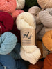 Wooldreamers Dehesa de Barrera DK -4719 Agua Lagunar 11741738 | Yarn at Michigan Fine Yarns